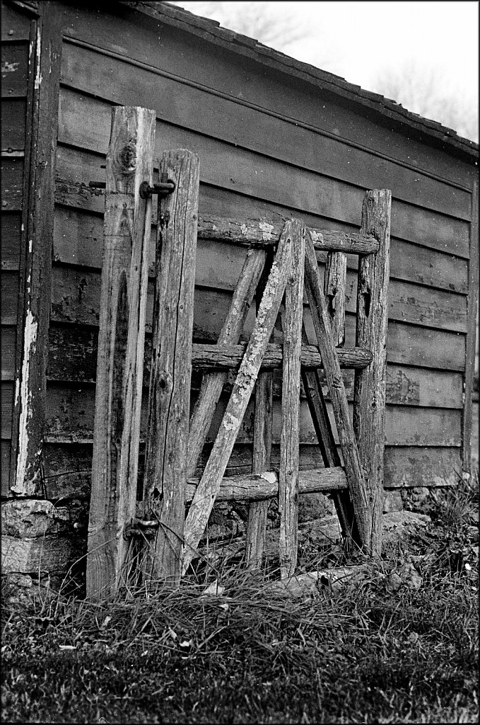 Jockey Hollow