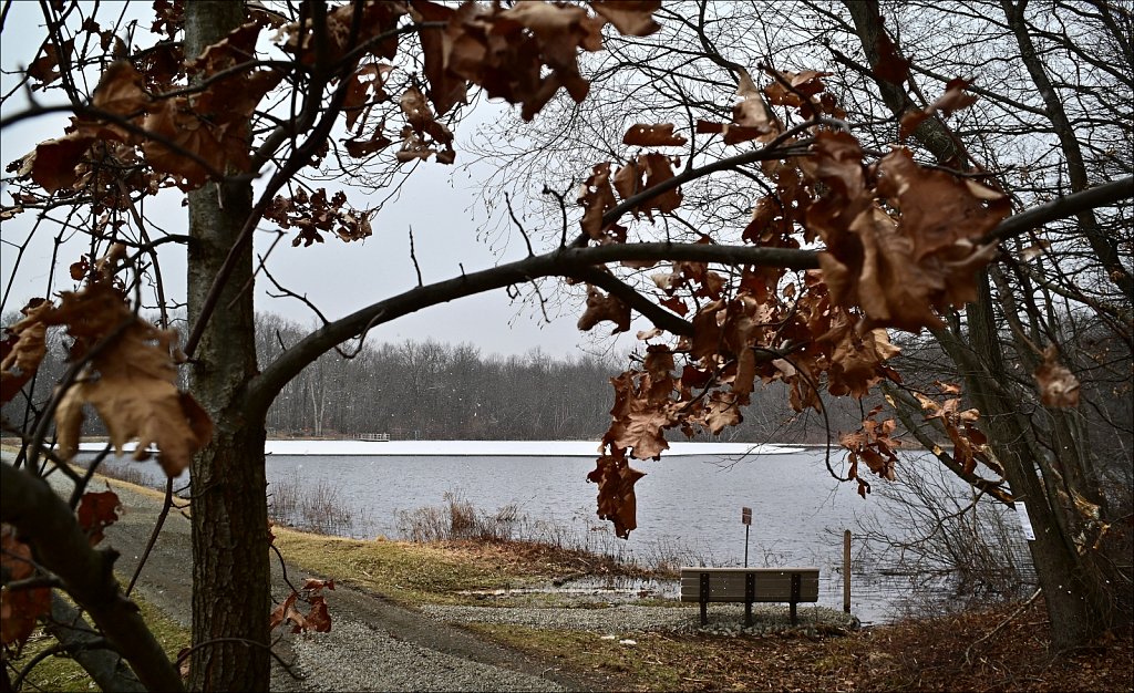 Mountain Farm Pond