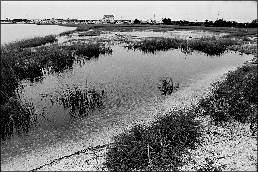 2021001F-Nikon-F2-Roll-B-5a-Kodak-TriX-Sept-2020.jpg