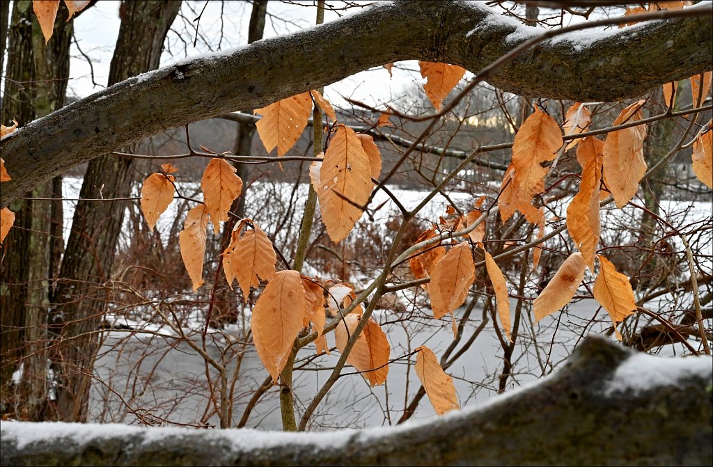 Allamuchy Mountain State Park 