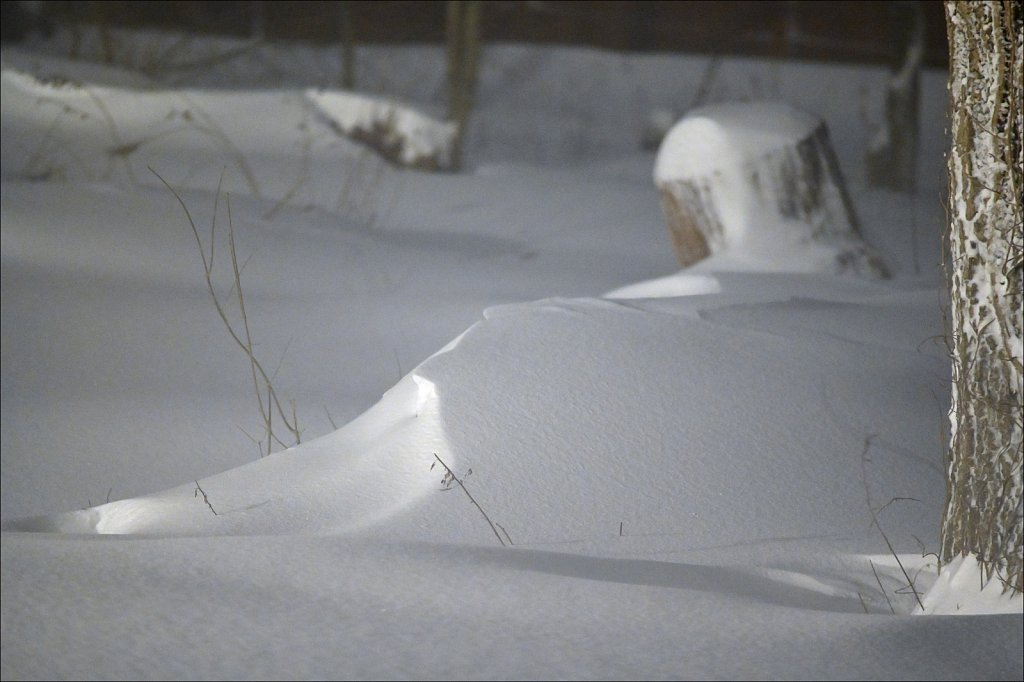 Nighttime Snow Drifts