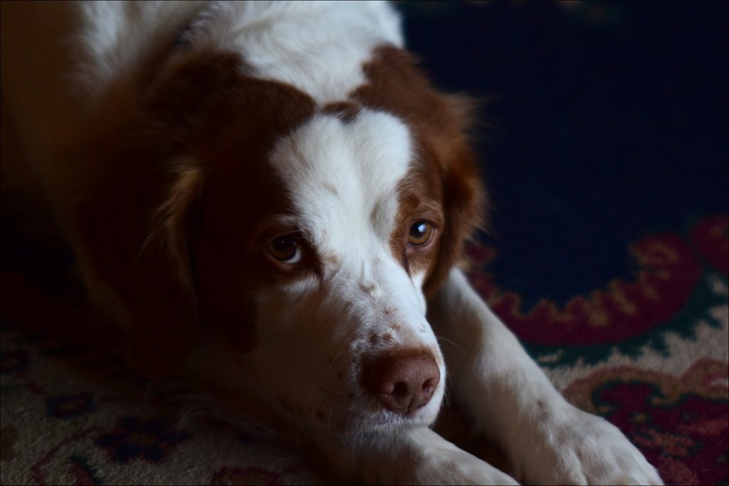 Copper