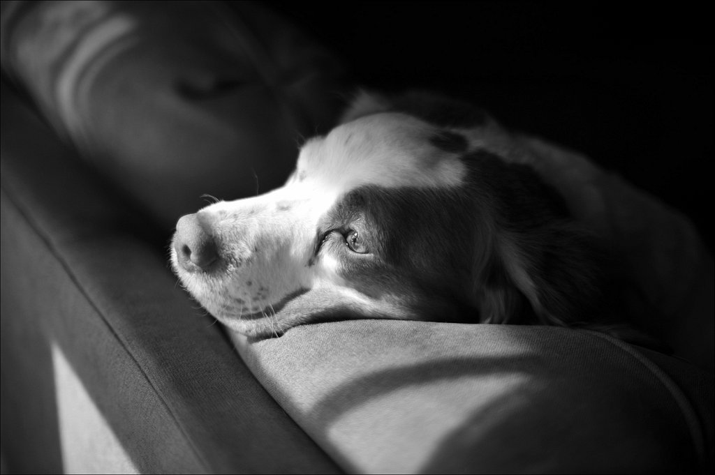 Copper