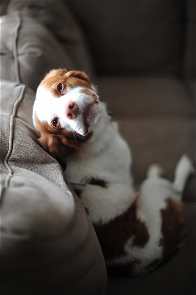 Copper