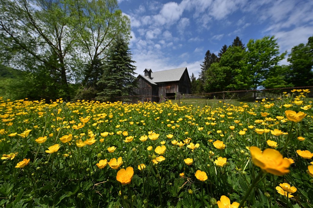 Walton-Barn-RG6-0689-copy.jpg