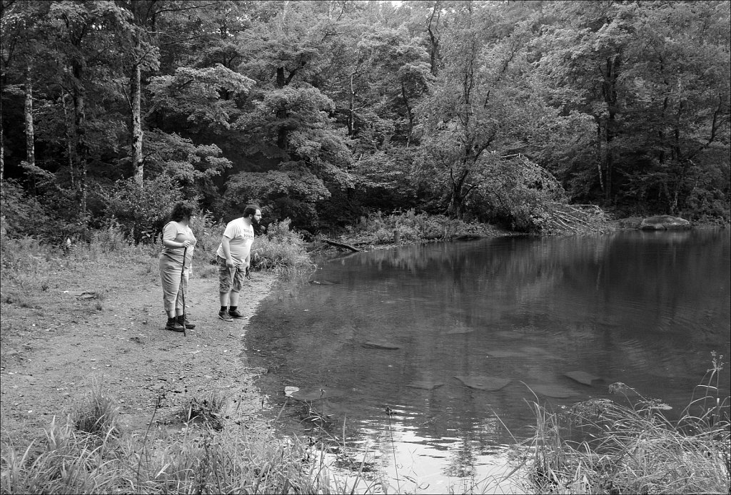Trail To Trout Pond