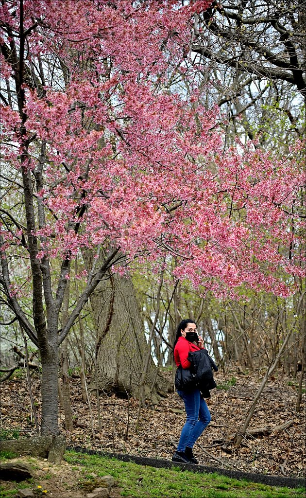 Branch Brook Park