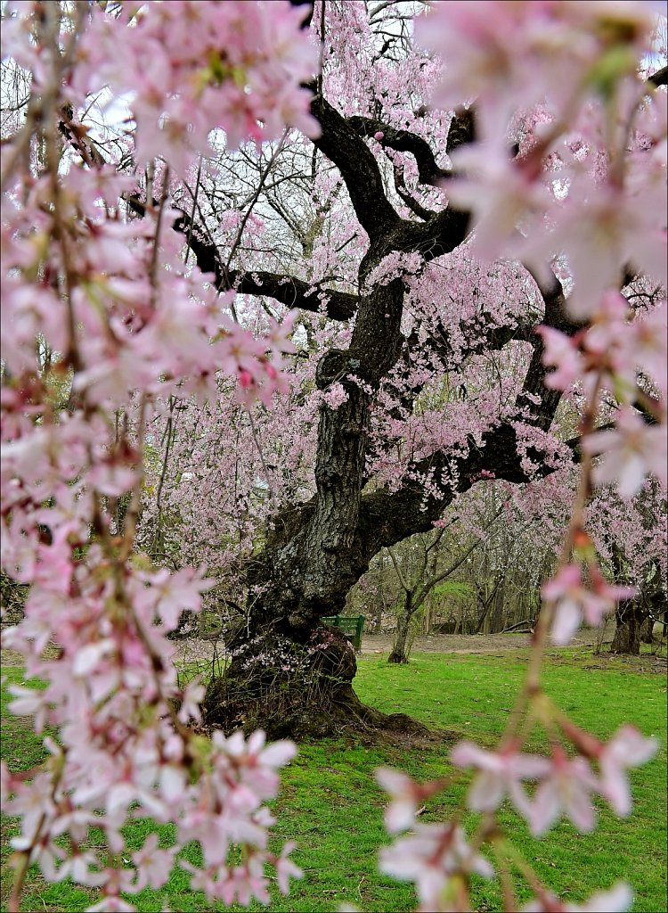 Branch Brook Park