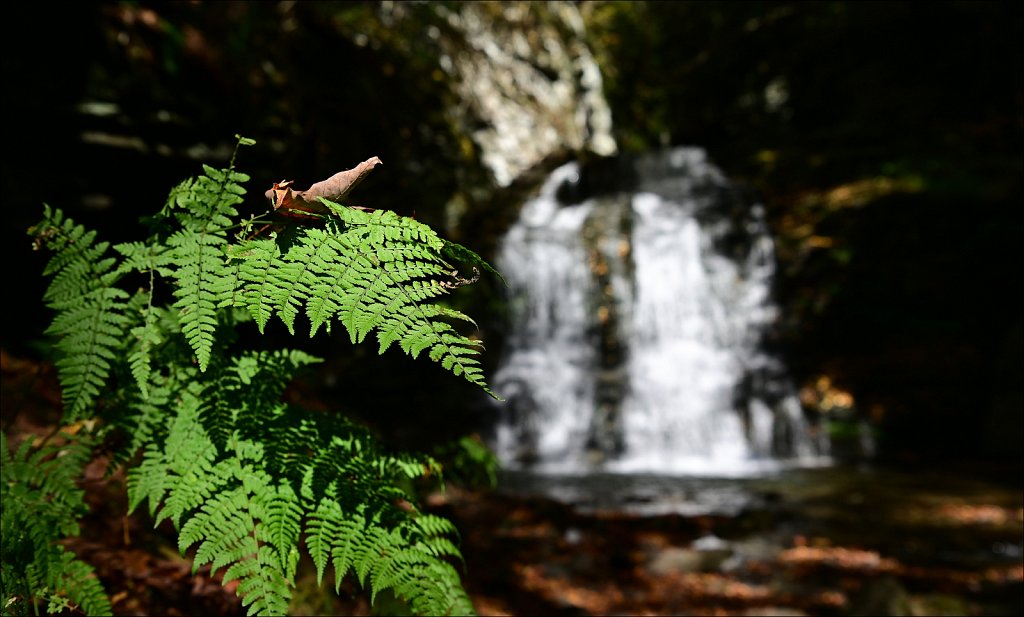 Russell Brook Falls  