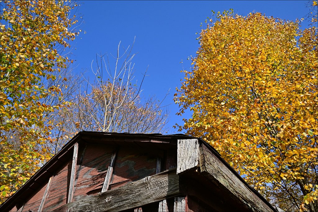Fall 2021 Upstate NY
