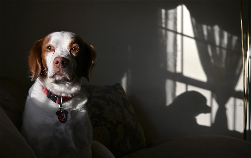 Copper & Shadow
