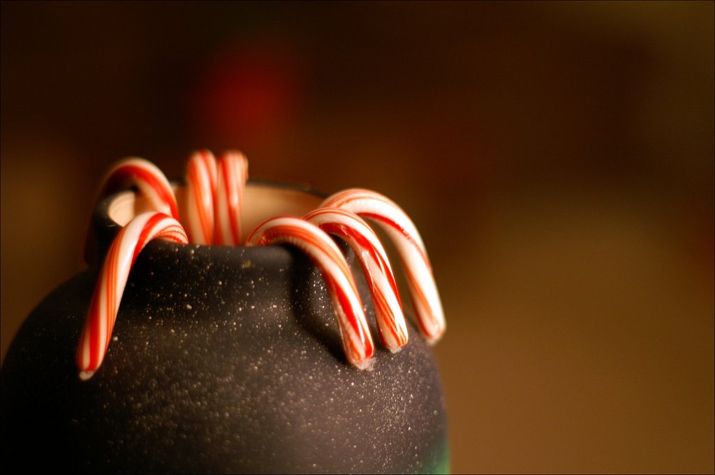 2023013F-PICT2145.jpg