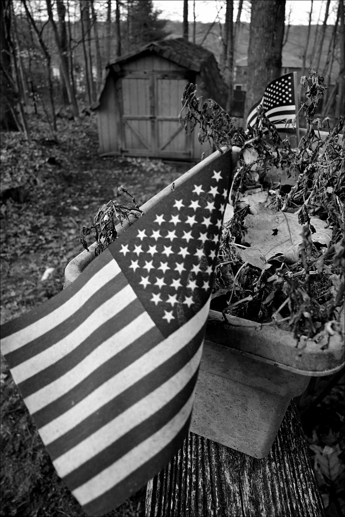 Backyard B/W 
