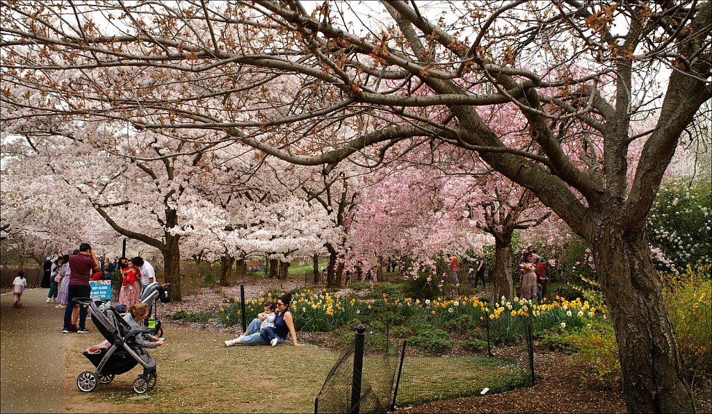 Branch Brook Park