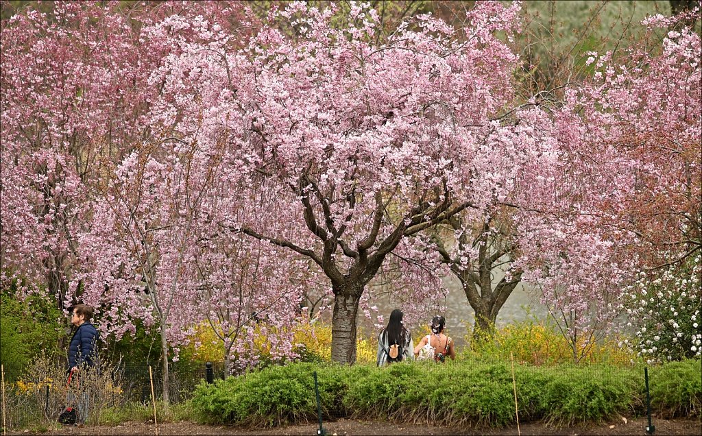 Branch Brook Park