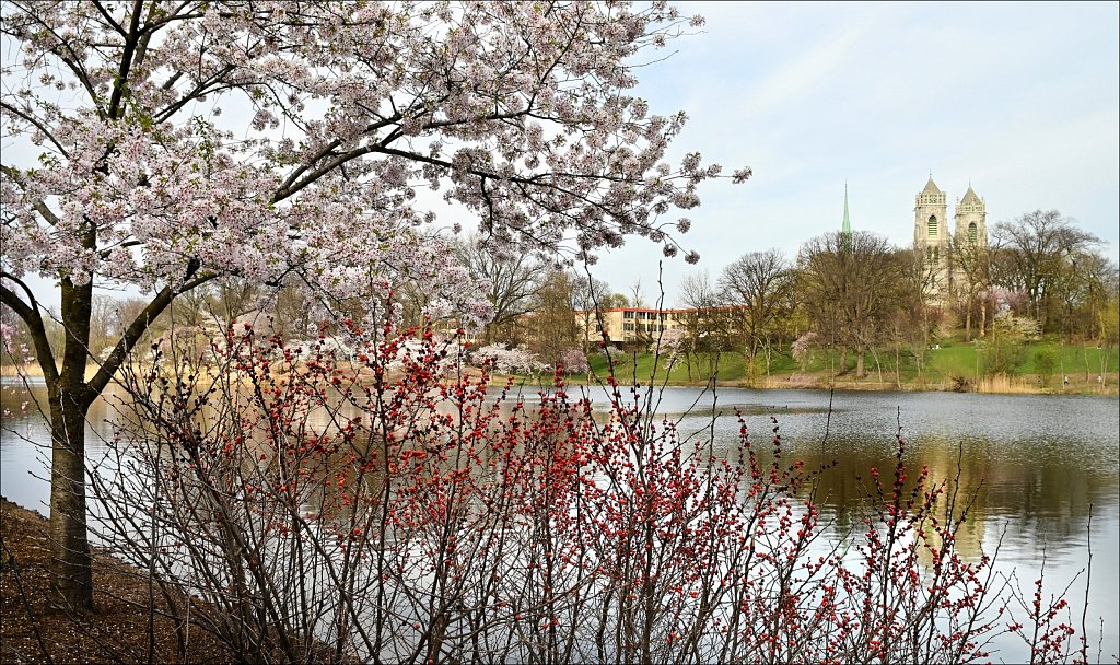Branch Brook Park