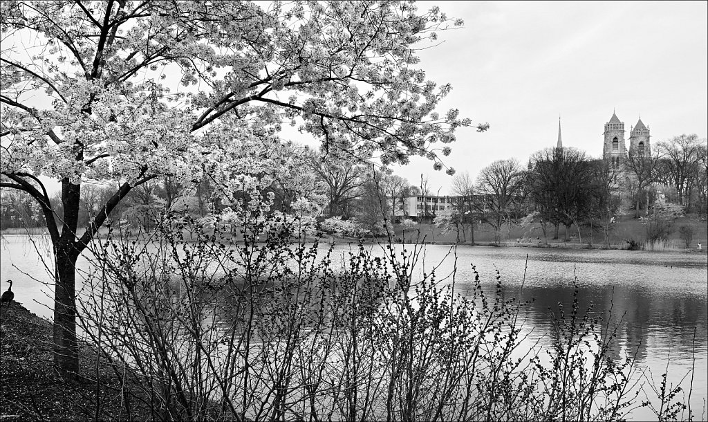 Branch Brook Park