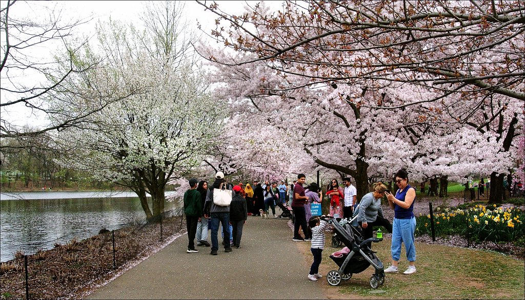 Branch Brook Park