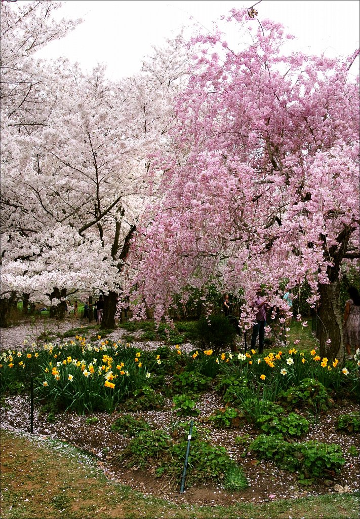 Branch Brook Park