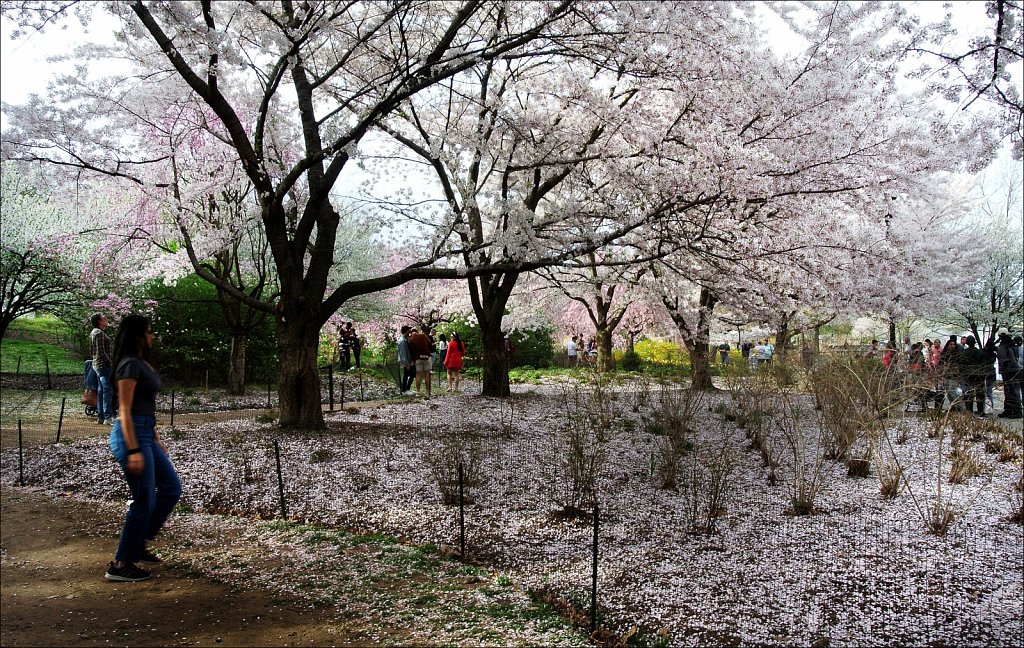 Branch Brook Park