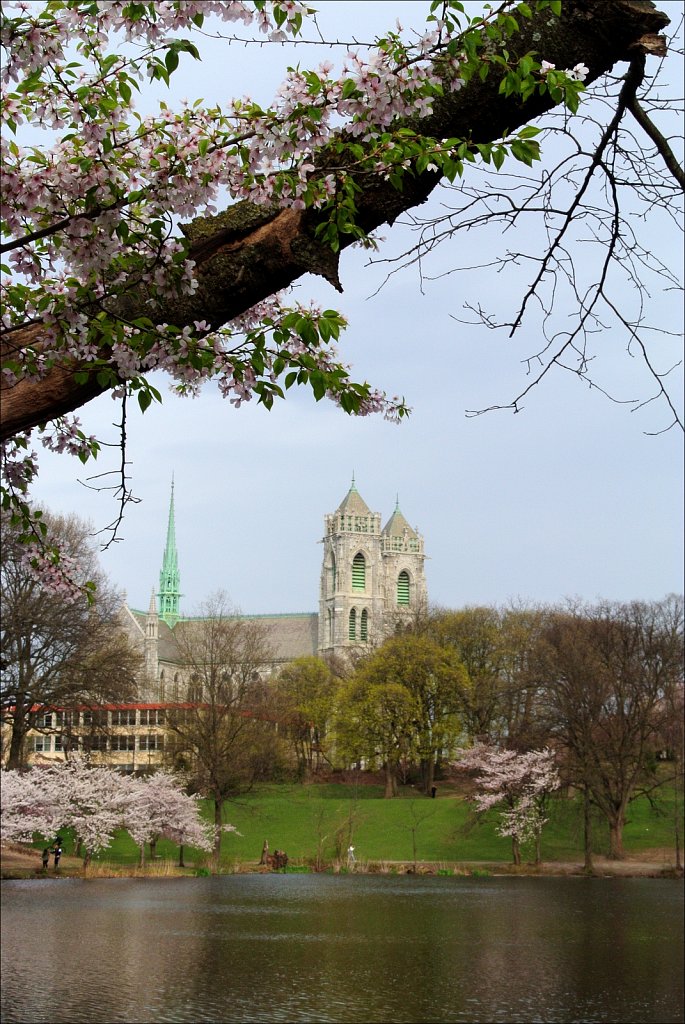 Branch Brook Park