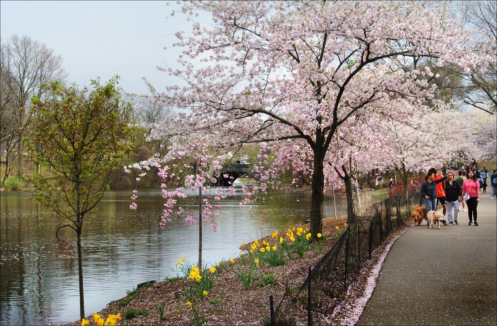 Branch Brook Park