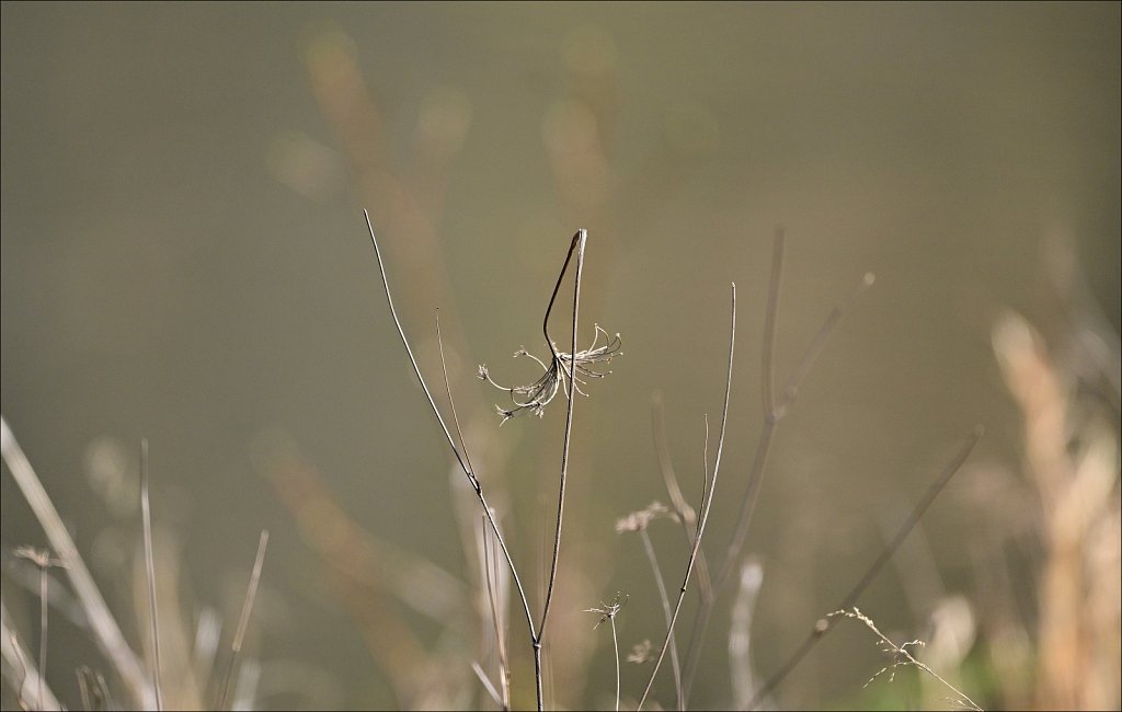 Around Barbour Pond