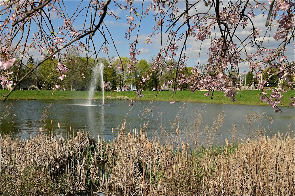 Turkey Brook Park