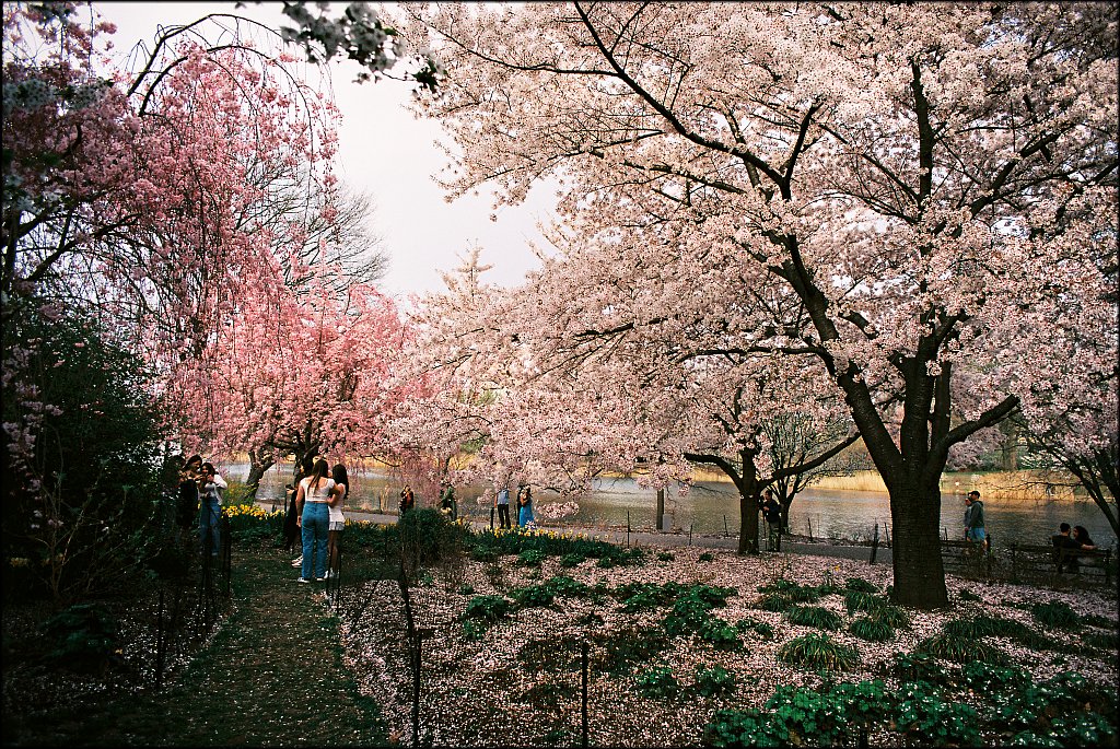 Branch Brook Park