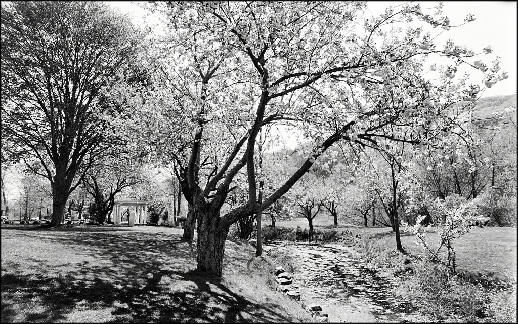 Hurd Park