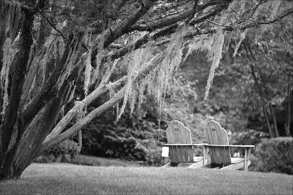 Willowwood Arboretum 
