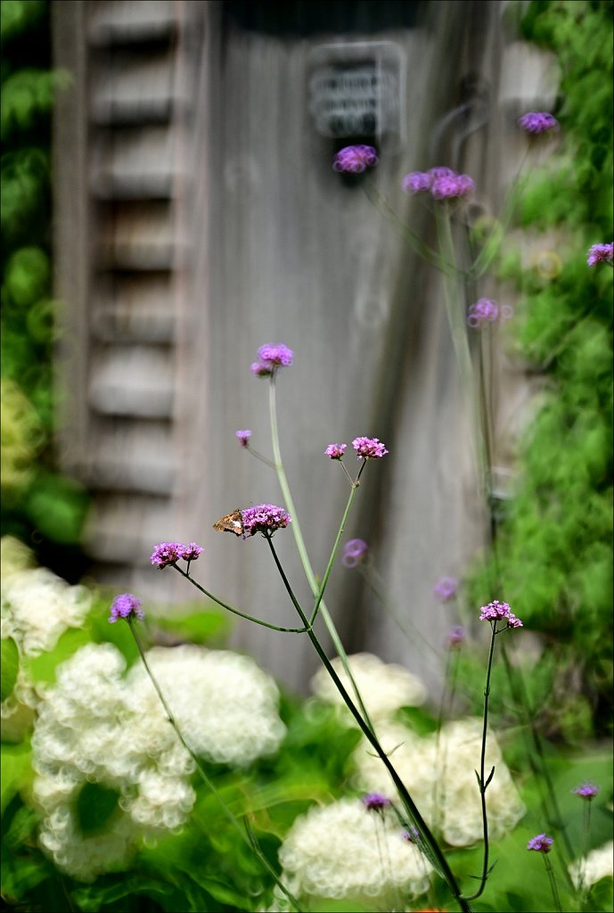 Willowwood Arboretum 