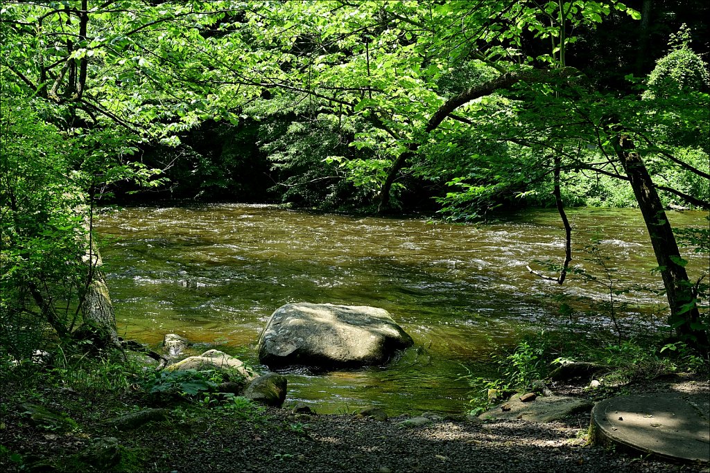Stephen State Park