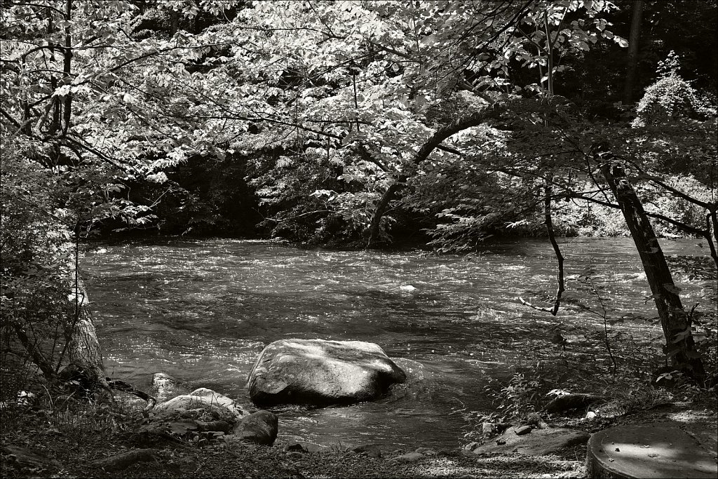 Stephen State Park