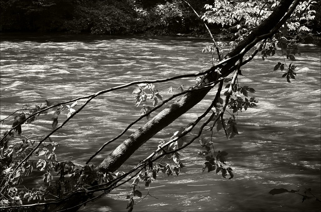 Stephen State Park