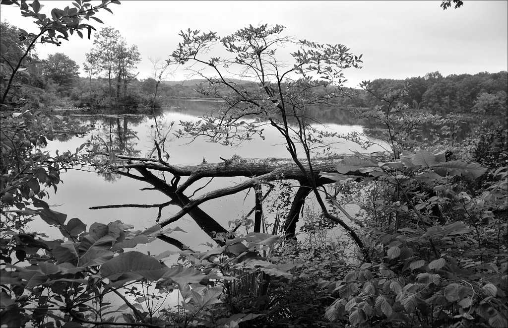 Sussex Branch Trail