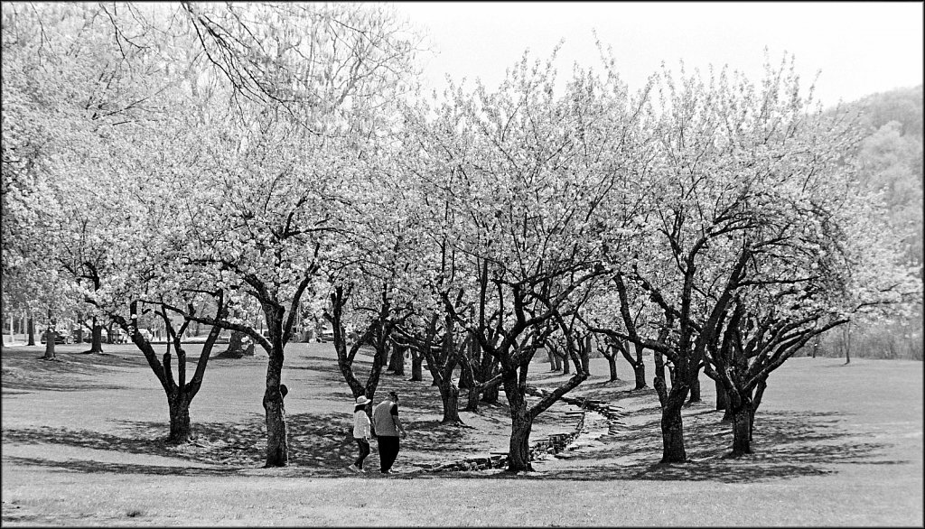 Hurd Park