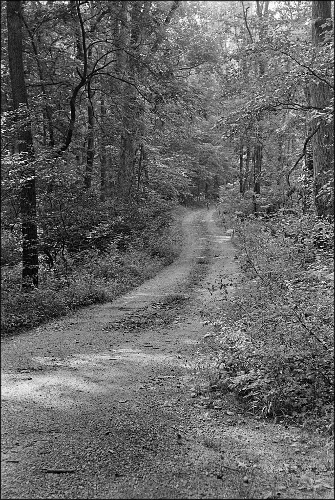 Along The Columbia Trail