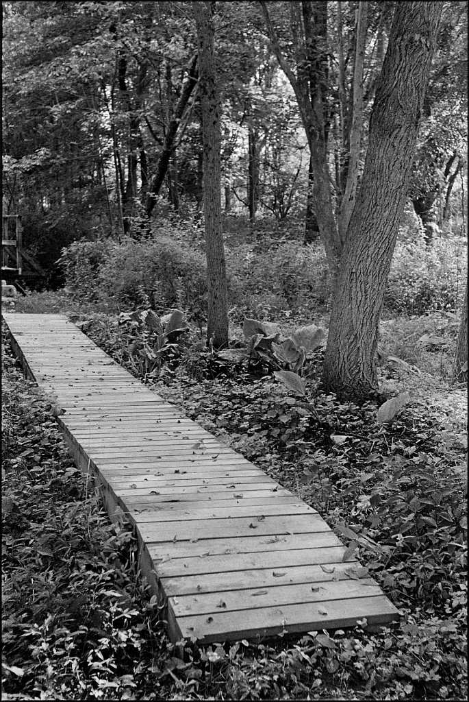 Along The Columbia Trail