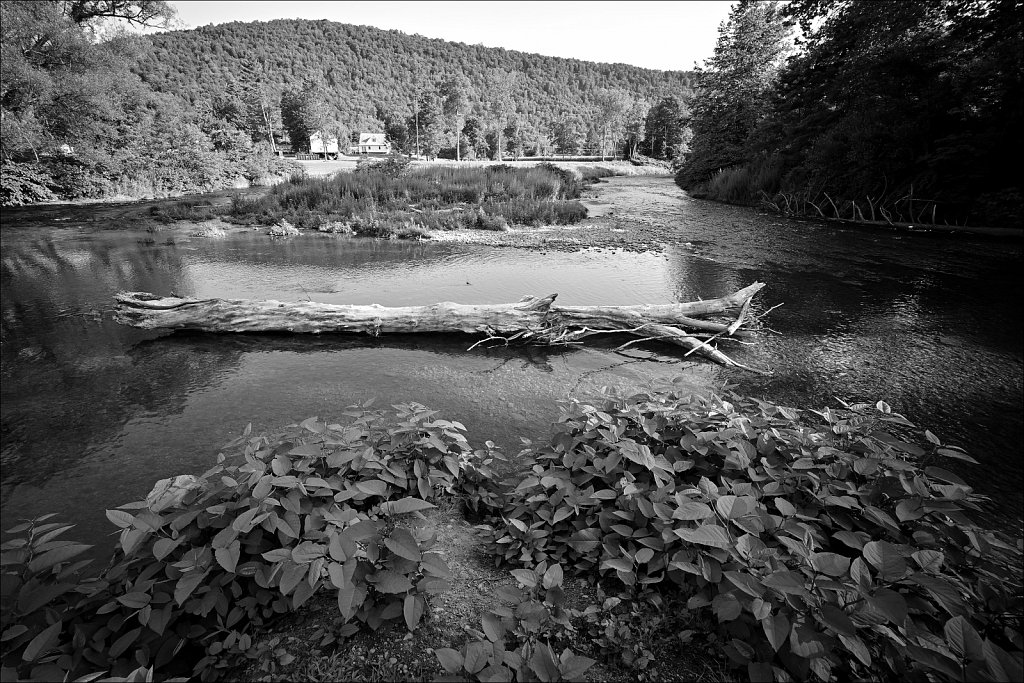 Upstate NY 2023