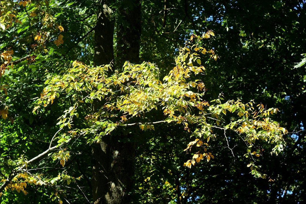 2023189F-DSC-0025.jpg