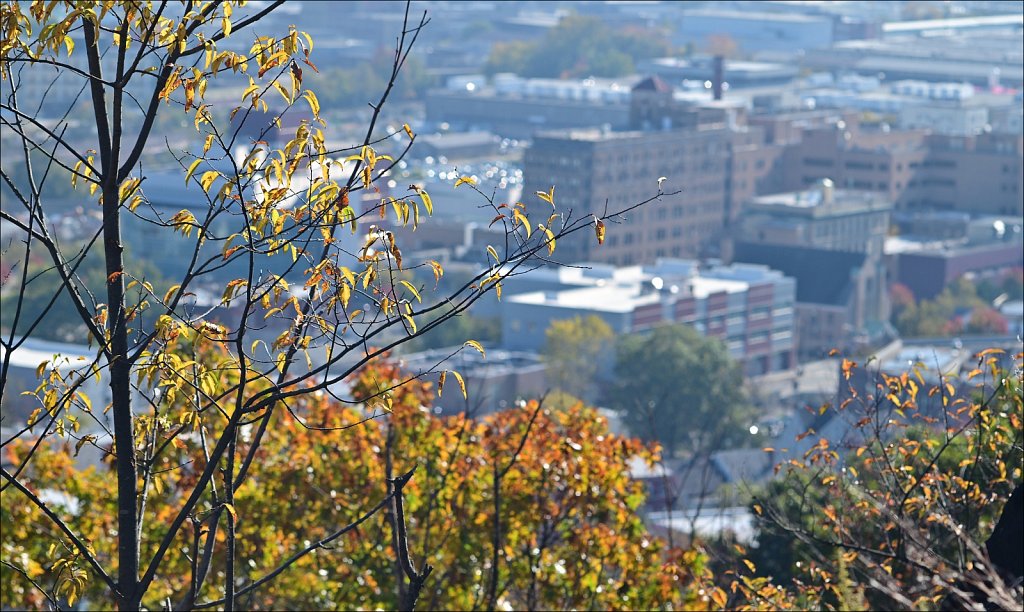 Garret Mountain Reservation