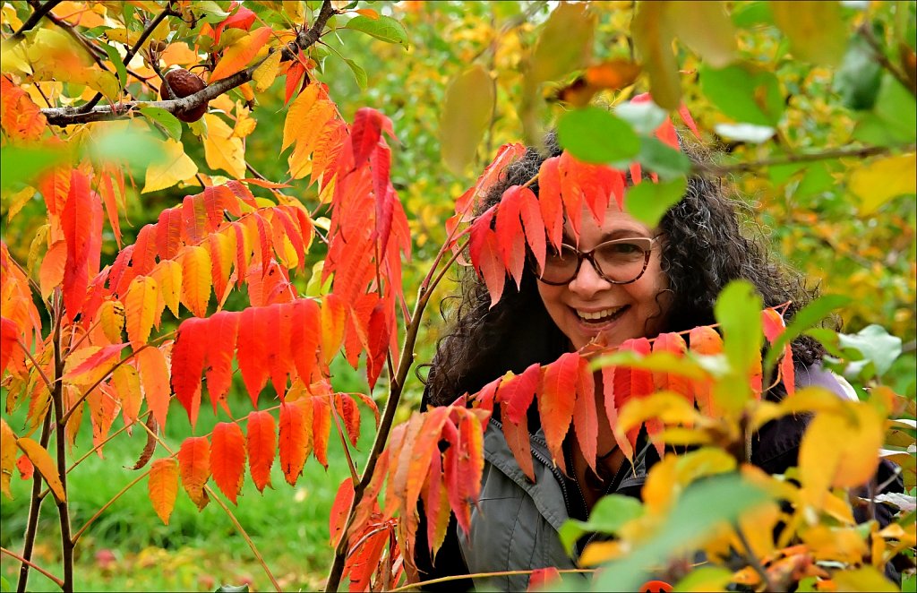 Apple Picking In Califon