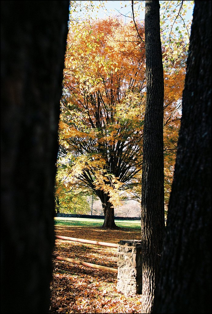 Washington Crossing State Park 