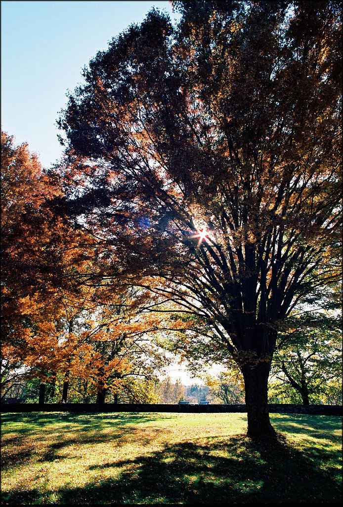 Washington Crossing State Park 