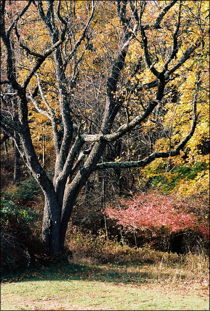 Garret Mountain Reservation