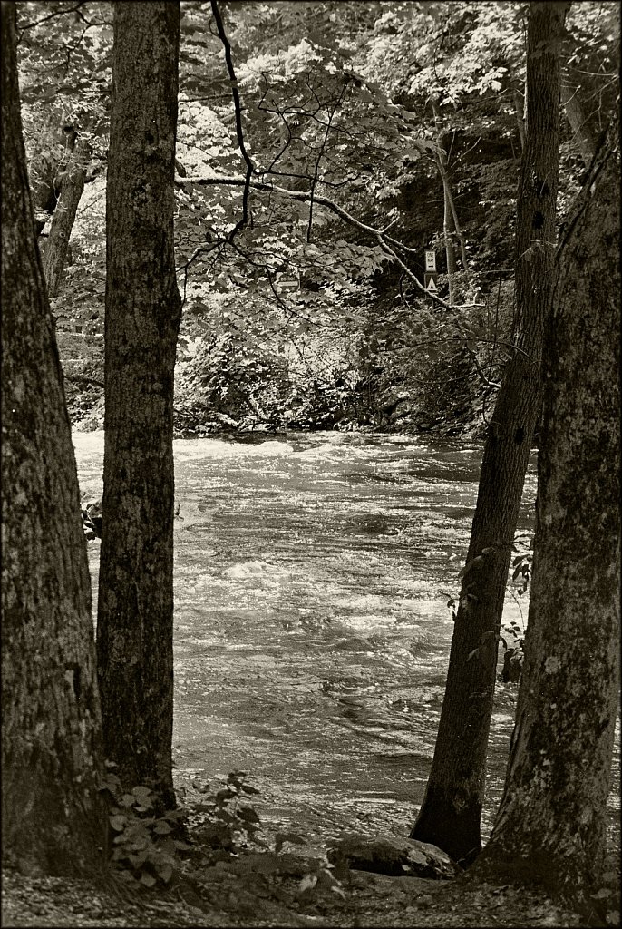Stephen State Park 