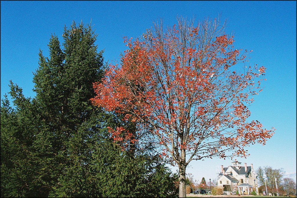 Turkey Brook Park