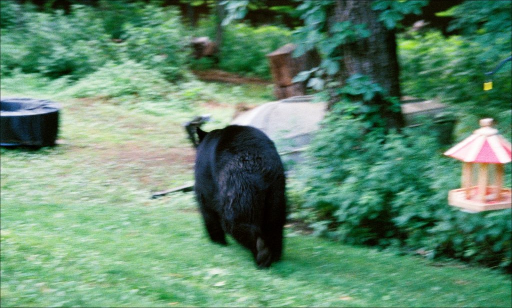 20210527-Nikon-N80-Kodak-Ultra-4xx.jpg