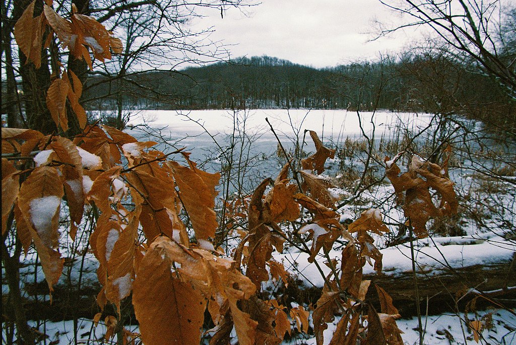 Allamuchy Mountain State Park 